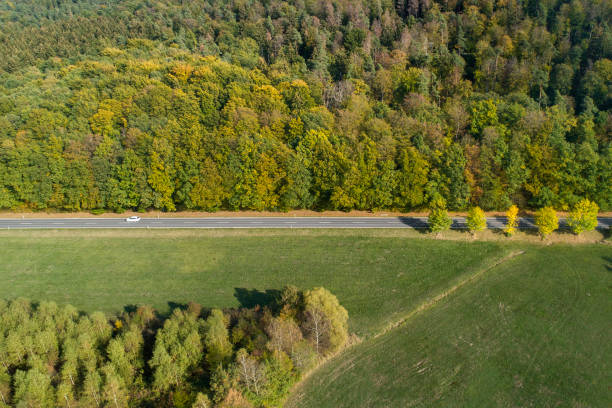 istock Road through autumnal rural scene - aerial view 1053839966