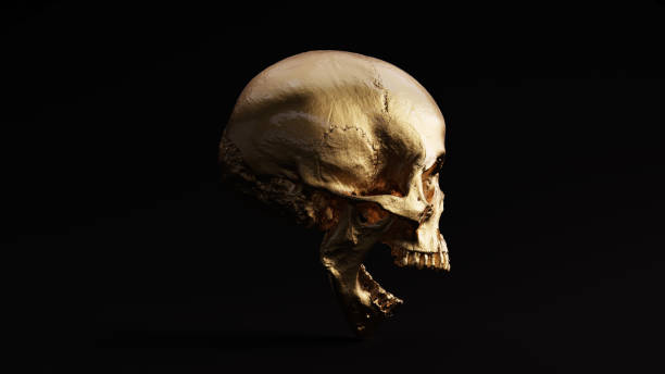 istock Gold Skull and Jaw Bone Open Right 1053840706