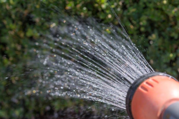istock Pouring a hedge with a garden spray 1053846328