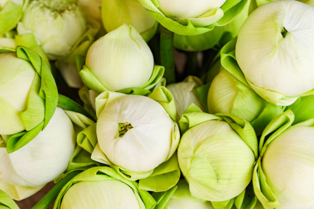 istock lotus flower for prayer for buddha 1053853654