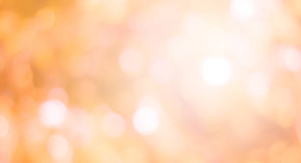 blurry yellow leaves nature forest landscape background with sunlight flare:blurred bokeh natural backdrop