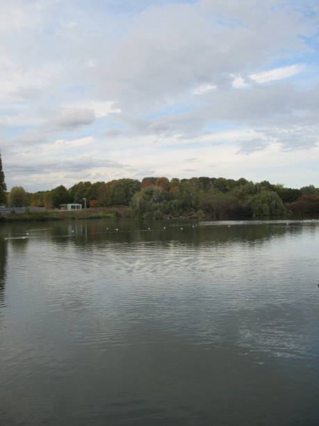 istock Pond in the Paris region 1053859930
