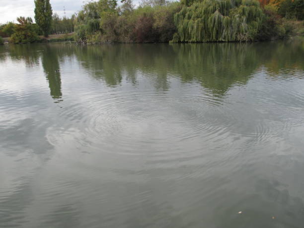 istock Pond in the Paris region 1053860552