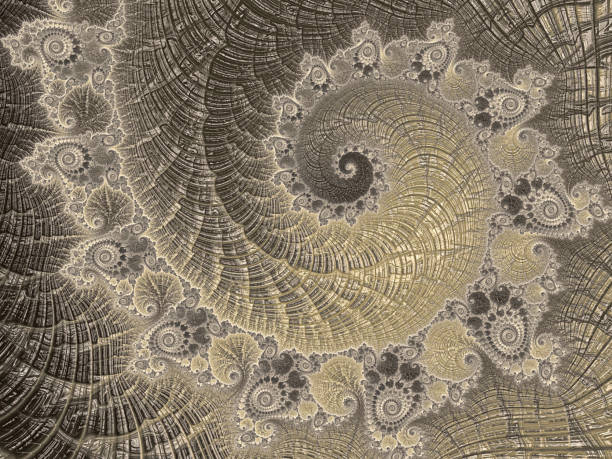ammonite abstract golden spiral vintage nautilus sea shell fractal art luxury fibonacci pattern - sea life centre foto e immagini stock