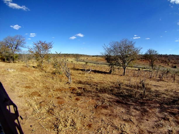 istock Arid landscape of Chobe National Park 1053864482