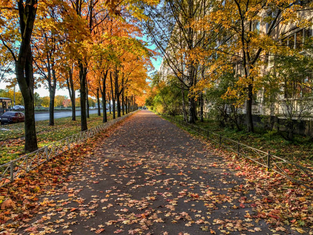 istock City park in the autumn 1053866308