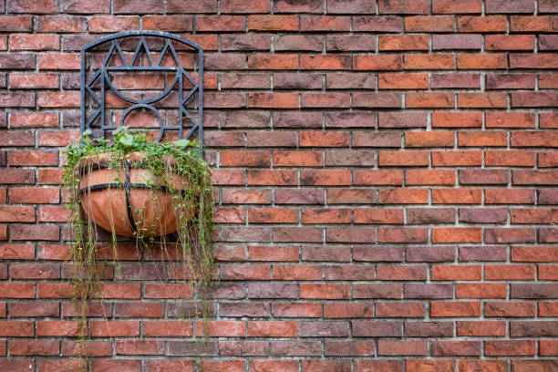 istock Old brick wall and hanging plants. 1053866392