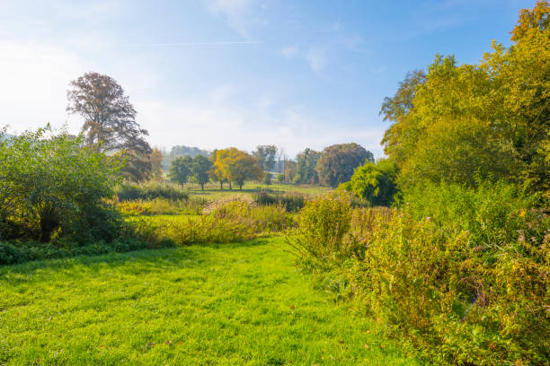 istock Panorama of trees in a green meadow on a hill in sunlight at fall 1053873662