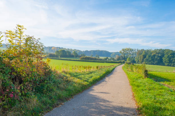 istock Panorama of trees in a green meadow on a hill in sunlight at fall 1053873974