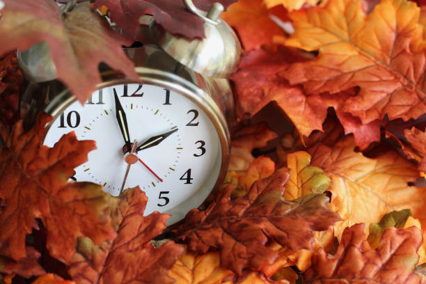 time change daylight savings buried in autumn leaves - hour hand imagens e fotografias de stock