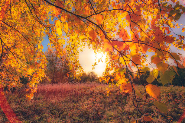 istock Autumn colors from Sotkamo, Finland. 1053881876