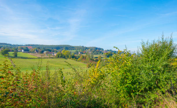 istock Panorama of trees in a green meadow on a hill in sunlight at fall 1053883570