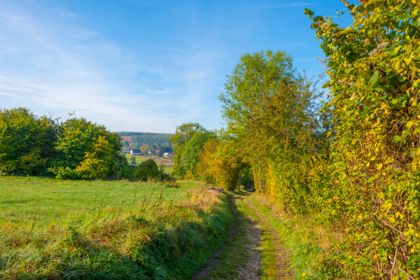 istock Panorama of trees in a green meadow on a hill in sunlight at fall 1053883718