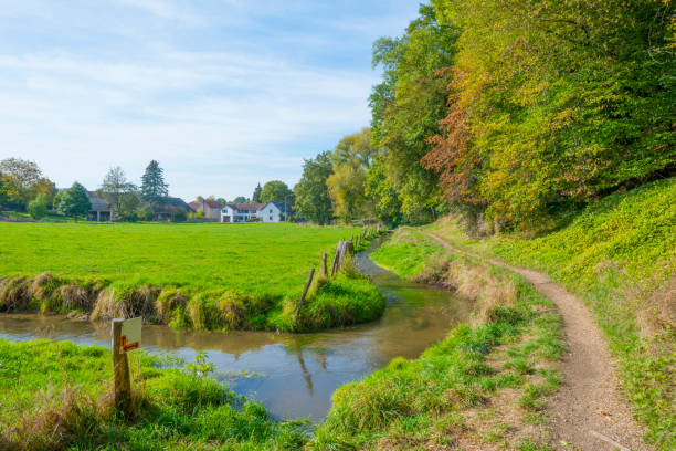 istock Trees in autumn colors along a stream in a meadow in sunlight at fall 1053886802
