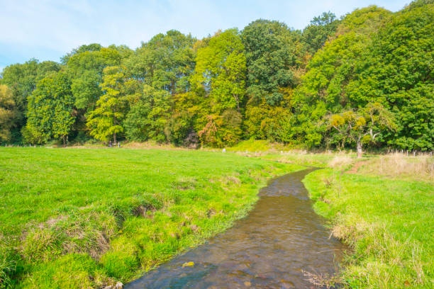 istock Trees in autumn colors along a stream in a meadow in sunlight at fall 1053886900