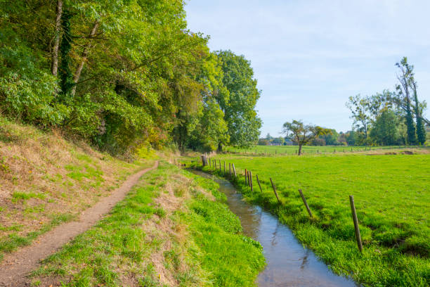 istock Trees in autumn colors along a stream in a meadow in sunlight at fall 1053886926