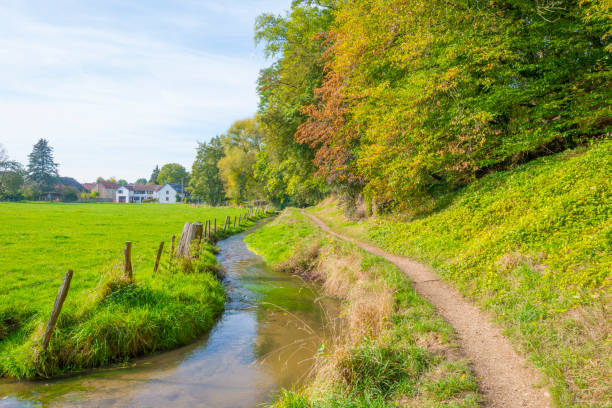 istock Trees in autumn colors along a stream in a meadow in sunlight at fall 1053887316