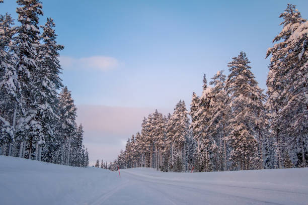 istock Snowy Road in the Winter Forest 1053896930