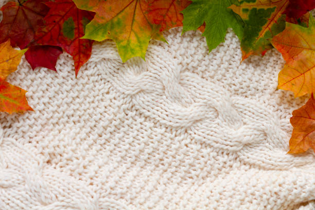 istock Warm knitted sweater, leaves, plaid and a book on a wooden table 1053900520