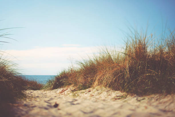 Access to a quiet sandy beach at the Baltic Sea, Hiddensee in Germany on a cloudy day