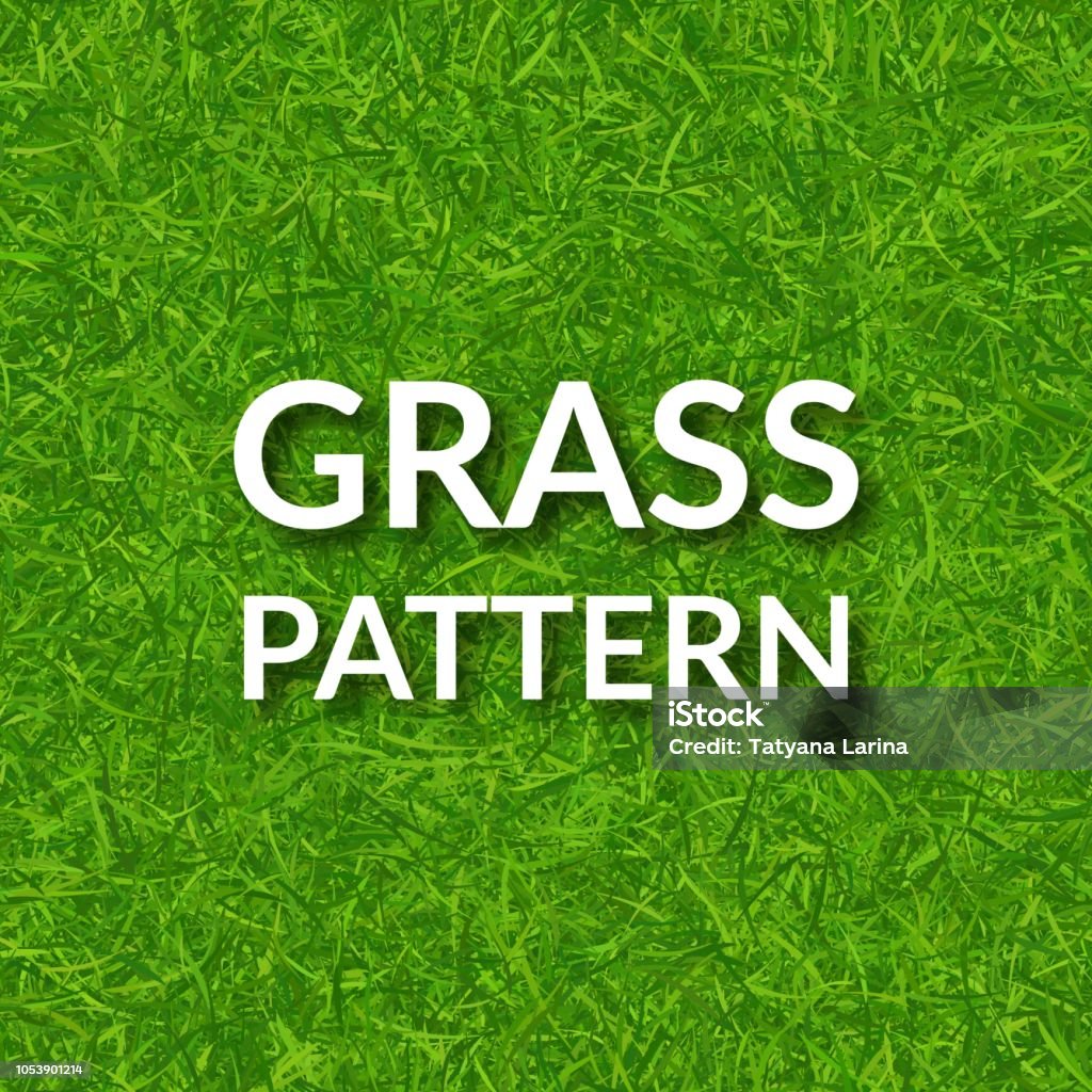 Green grass seamless pattern. Green grass seamless pattern. Vector background EPS 10 Grass stock vector