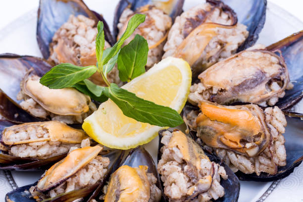 midye dolmasi, stuffed mussels, turkish food isolated on white background - 11321 imagens e fotografias de stock