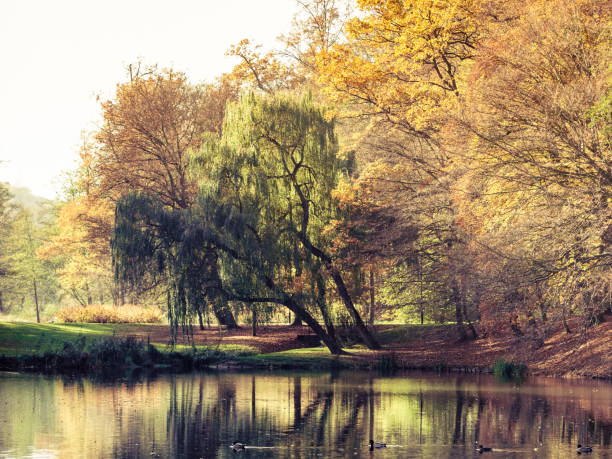 istock Autumn park with pond. Fall landscape. 1053911888