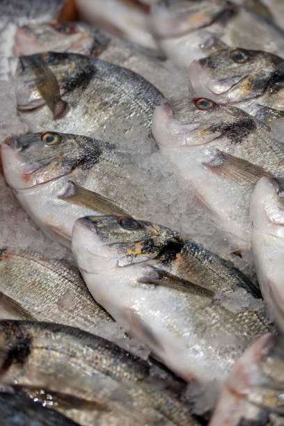 istock Fresh chilled Dorado in ice. 1053915858