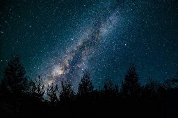 Milk way at night in forest Milk way at night in forest milky way stock pictures, royalty-free photos & images