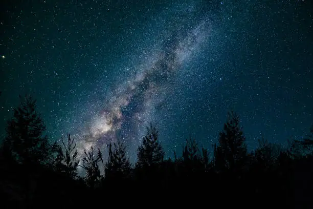 Photo of Milk way at night in forest