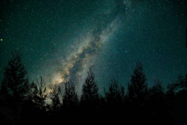 istock Milk way at night in forest 1053927712
