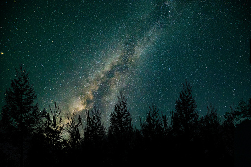 Milk way at night in forest