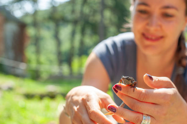 istock Biologist Holding A Newt 1053928212