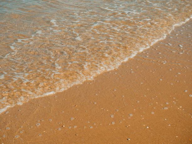 istock Soft wave of sea water on the sandy beach 1053930462