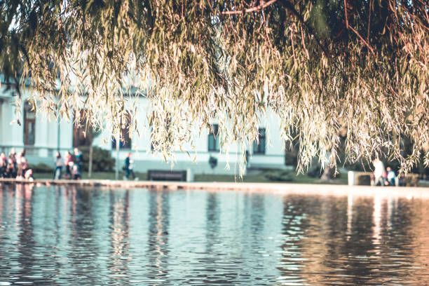 City lake background