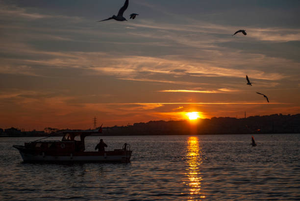 Sunset over water and fish boat