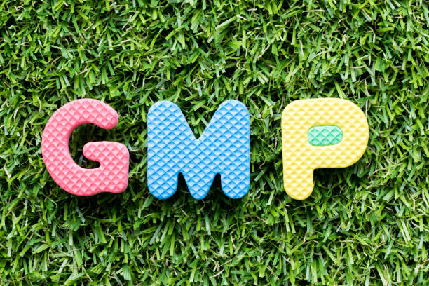 istock Color alphabet letter in word GMP (Abbreviation of good manufacturing practice) on artificial green grass background 1053945742