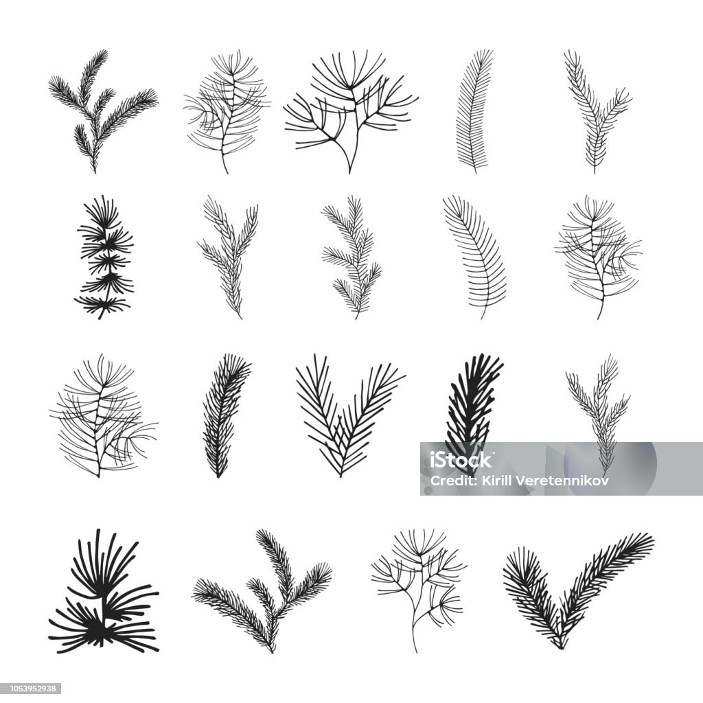 Big set of hand drawn pine, spruce, fir tree branches. Winter plants for Christmas decoration. Vector isolated holiday design elements. Pine Tree stock vector