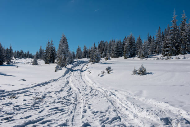 istock Snowy mountain country road 1053952984