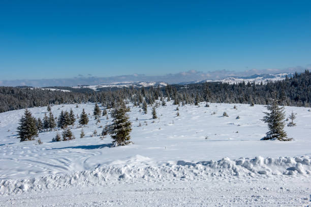 istock Snowy mountain country road 1053953034