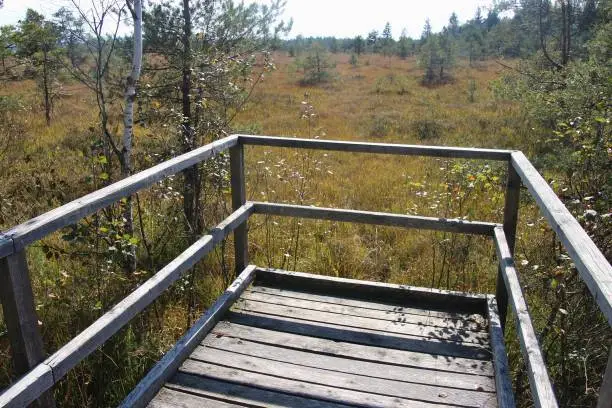 Photo of Wooden viewpoint in the Ibm Moorland in Upper Austria, in early autumn.