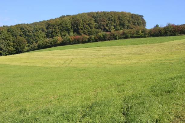 istock Hilly, green landscape, fields and forest in Upper Austria. 1053955304