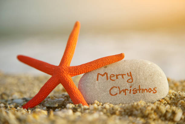 Merry Christmas on Beach