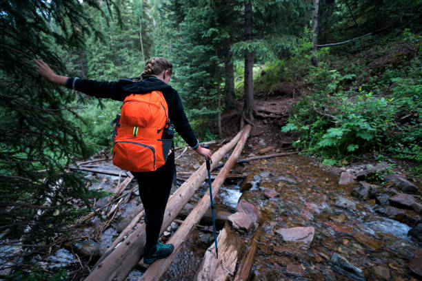 crossing logs over a stream on hike to ice lakes, colorado - journey footpath exercising effort imagens e fotografias de stock