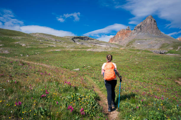 female hiker walks through a meadow on the 8.1 mile rt hike to ice lake in the upper basin on a summer day when wildflowers are blooming, san juan national forest, silverton, colorado, usa - journey footpath exercising effort imagens e fotografias de stock