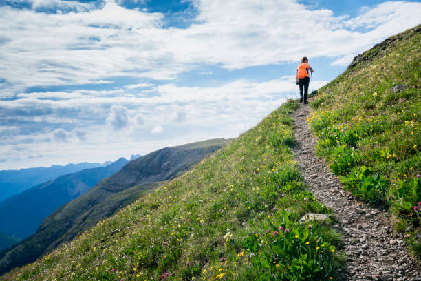 escursioni a fuller lake, colorado - journey footpath exercising effort foto e immagini stock