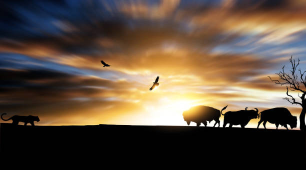 Silhouette Landscape Of Forest Animals Fight Stock Photo - Download Image Now - African Buffalo, In Silhouette, Lion - Feline - iStock Silhouette Landscape Of Forest Animals Fight Stock Photo - Download Image Now - African Buffalo, In Silhouette, Lion - Feline - iStock