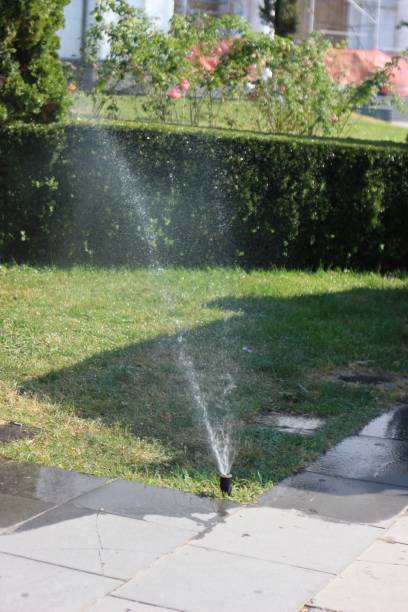 istock Sprinkler irrigation in a public park 1053977330