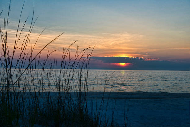 istock Seascape with Grass and Ocean 1053986836