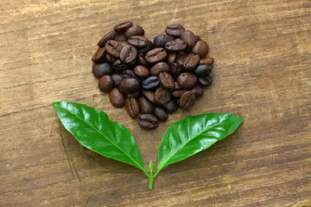heart shaped roasted coffee beans and leaves, fair trade concept image isolated on wooden background